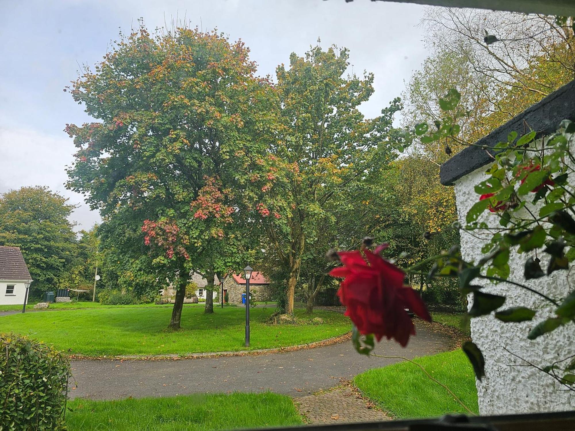 Longford Holiday Red Rose Self Catering Cottage Экстерьер фото